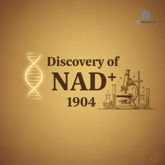 Avatar illustration for article on the history of NAD⁺ discovery in 1904.