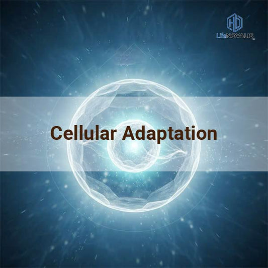 cellular adaptation wellness blog cover energy balance hd lifenovalis