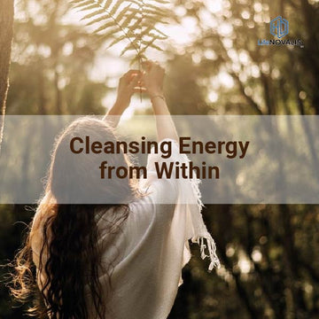 Cleansing Energy from Within through Natural Detox Pathways