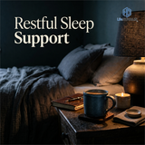 Natural Sleep Aids: Science, Herbs, and Rest Routines