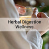 Herbal Remedies for Digestion and Gut Vitality