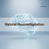Natural Neuroadaptation – Balancing Energy and Calm
