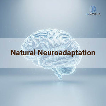 Natural Neuroadaptation – Balancing Energy and Calm