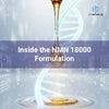 Inside the NMN 18000 Formulation – Where Science Meets Cellular Vitality