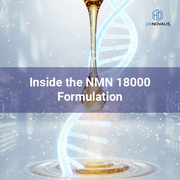 Inside the NMN 18000 Formulation – Where Science Meets Cellular Vitality