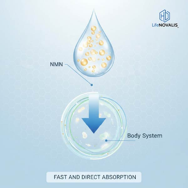 5 expert criteria for choosing effective nmn for skin