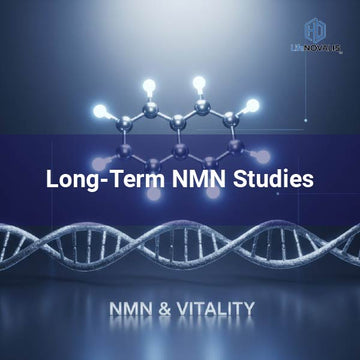 Long-Term NMN Studies: What Science Still Doesn’t Know