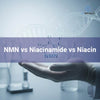 NMN vs Niacinamide vs Niacin – B3 Forms Explained