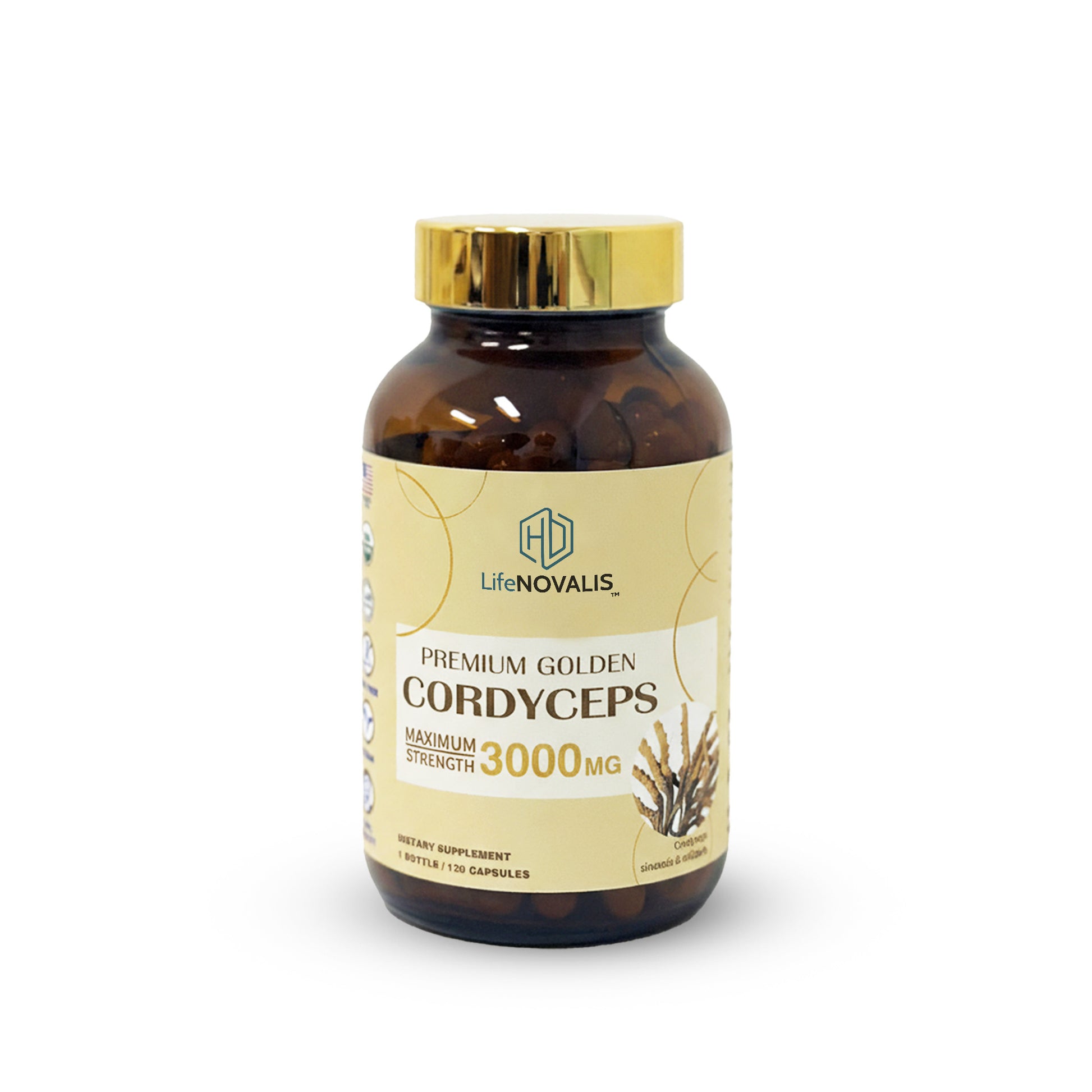 HD LifeNOVALIS Premium Golden Cordyceps supplement bottle on a white background