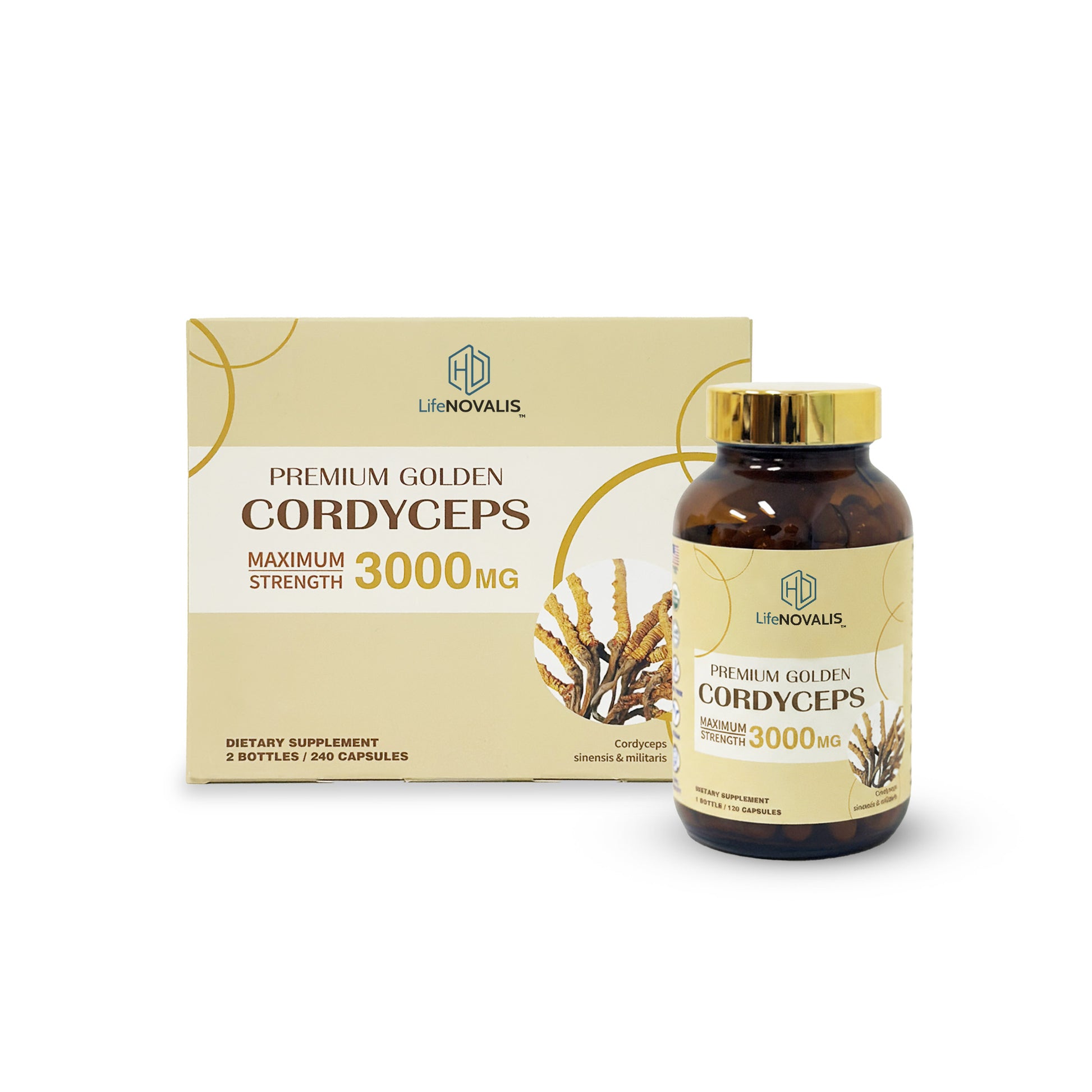 HD LifeNOVALIS Premium Golden Cordyceps supplement bottle and packaging on a white background